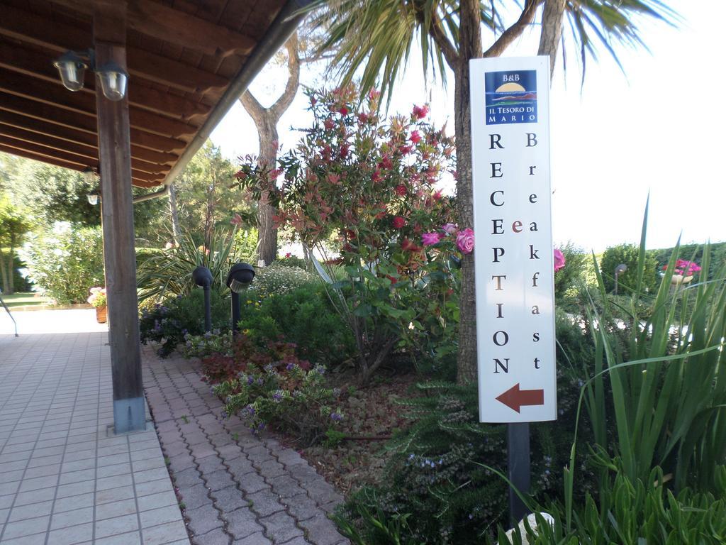 Bed And Breakfast " Il Tesoro Di Mario " Falconara Marittima Exterior photo