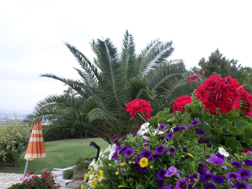 Bed And Breakfast " Il Tesoro Di Mario " Falconara Marittima Exterior photo