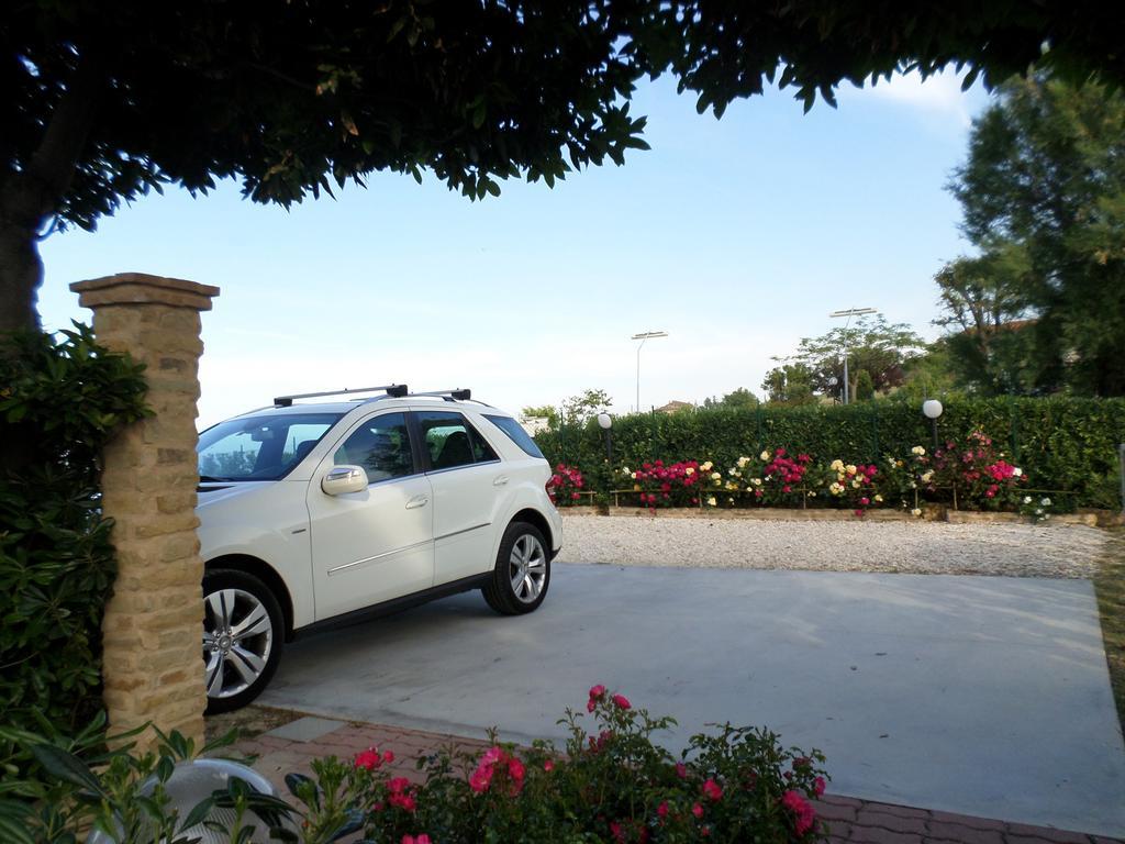 Bed And Breakfast " Il Tesoro Di Mario " Falconara Marittima Exterior photo