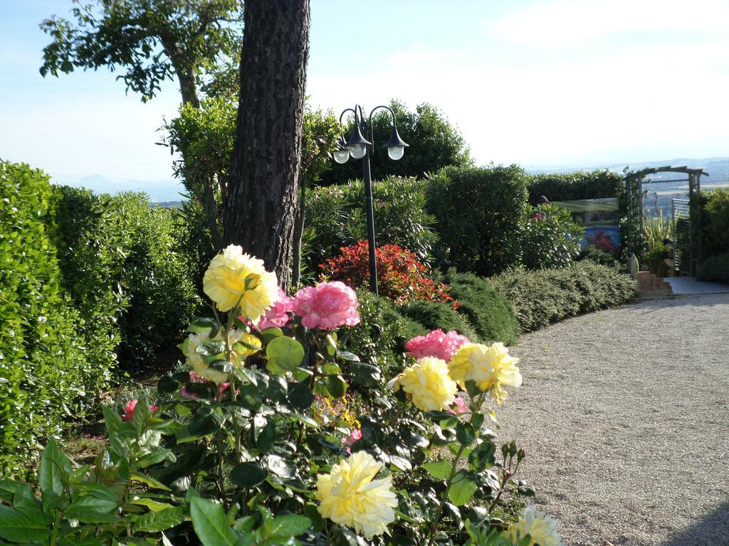 Bed And Breakfast " Il Tesoro Di Mario " Falconara Marittima Exterior photo