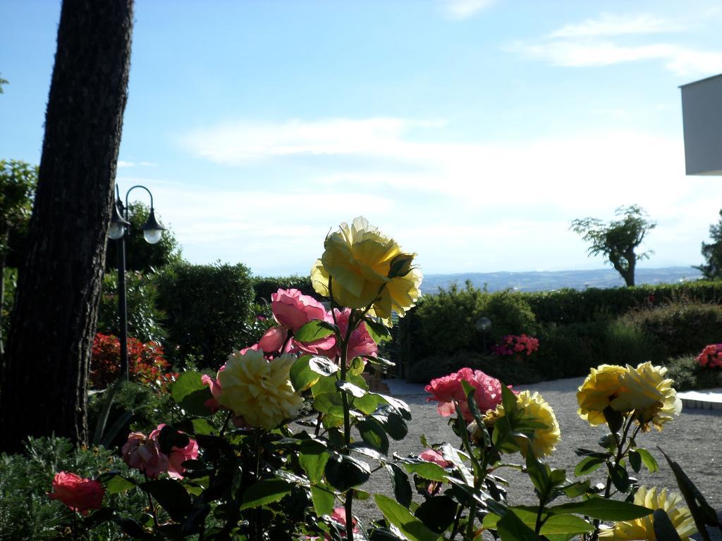 Bed And Breakfast " Il Tesoro Di Mario " Falconara Marittima Exterior photo